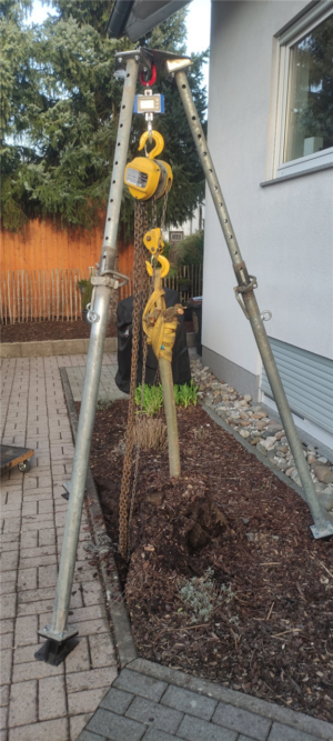 Kettengehänge / Kettenzug - Art.Nr. 5264VH-10 – Bild 3